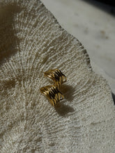 Load image into Gallery viewer, Evelyn Hoops
